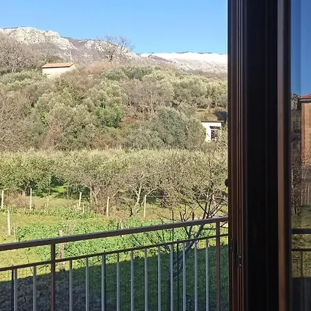 Cuore Del Cilento *